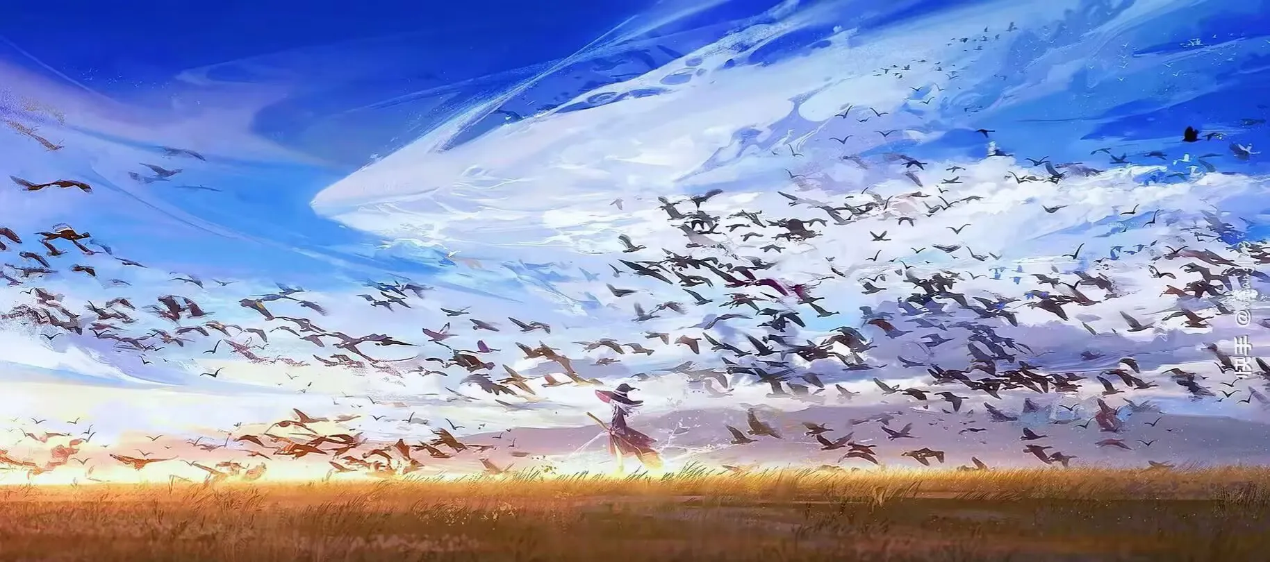 用户封面